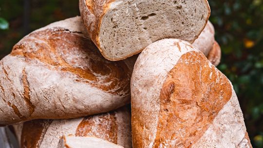 Wystartowało XXVII Święto Chleba