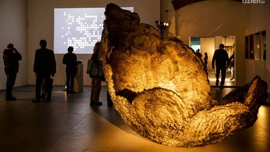 WYSTAWA Grupy not a Number (Alicja Panasiewicz, Adam Panasiewicz) „Ś//Ć światłociemń”