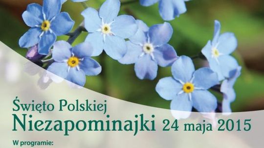 XIV Święto Polskiej Niezapominajki