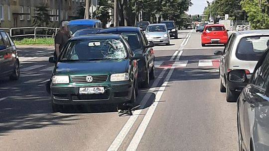 XV-lecie. Potrącenie 17-latka na przejściu