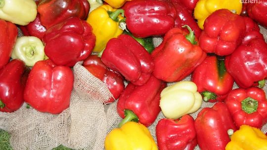 XX Dzień Papryki w Potworowie za nami!