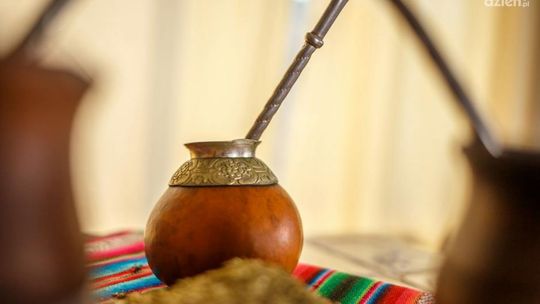 Yerba mate – naturalna energia z Ameryki Południowej Yerba mate – naturalna energia z Ameryki Południowej