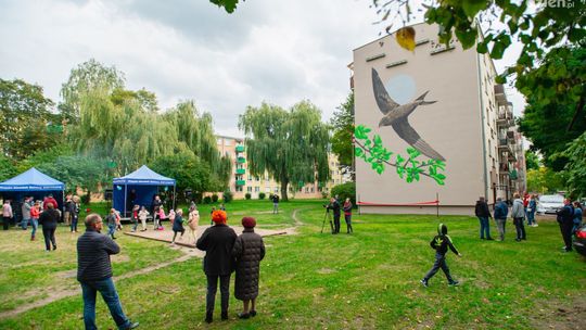 Z jerzykami po sąsiedzku