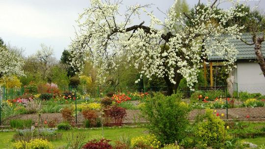 Z myślą o działkowcach