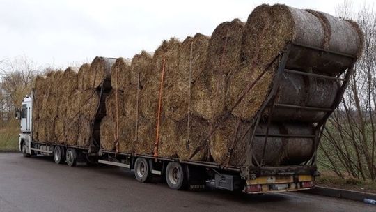 Za dużo słomy na załadunku. Kara dla przewoźnika