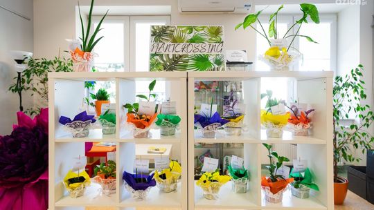 Za nami Tydzień Bibliotek w Bibliotece Pedagogicznej