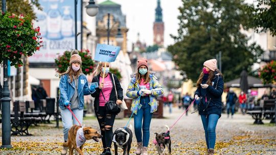  Zachęcali do adopcji zwierząt