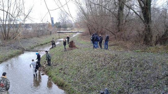 Zaginiona Danuta Wielocha. Poszukiwania [Aktualizacja]