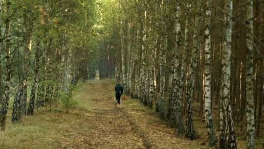 Zaginiony grzybiarz odnaleziony w lesie – pomogła znajomość terenu policjanta-myśliwego