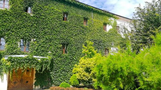 Zagłosuj i ty. Ruszyła trzecia edycja Budżetu Obywatelskiego Mazowsza