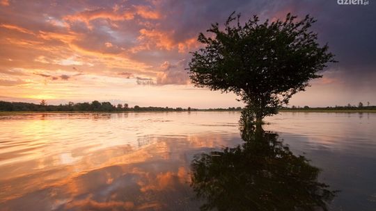 Zagrożona Dolina Pilicy - zobacz galerię zdjęć