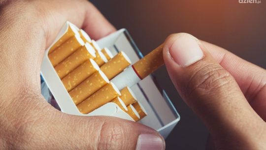 Zakaz mentoli? Znajdź alternatywę!