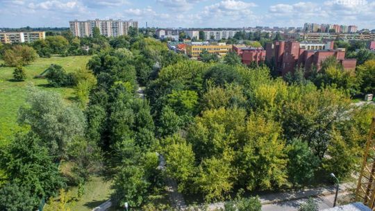 Zakaz wstępu do parków. AKTUALIZACJA