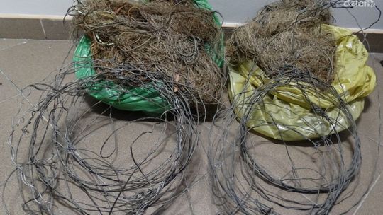 Zakładał wnyki i sieci na zwierzęta. Zatrzymali go