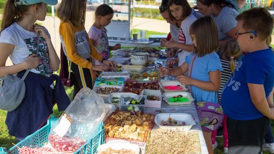 Zakochaj się w kulturze… z Amfiteatrem