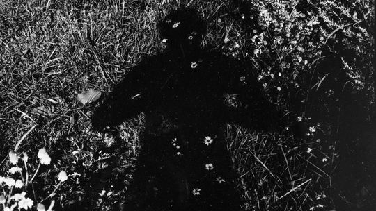 Zakupy dzieł sztuki do kolekcji Elektrowni