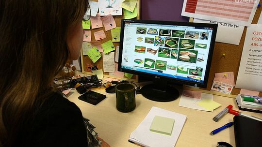 Zakupy przez internet - jak się chronić