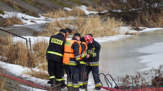Załamał się lód, czyli strażackie ćwiczenia w Pionkach