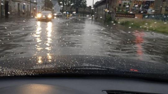 Zalane budynki i powalone drzewa 