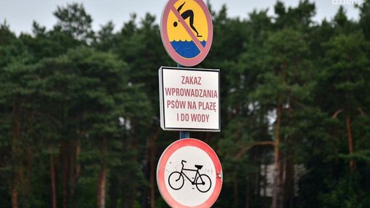 Zalew na Borkach i w Siczkach opanowały sinice! Co nam grozi?