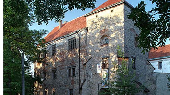 Zamek w Szydłowcu. Architektura. Historia. Sztuka