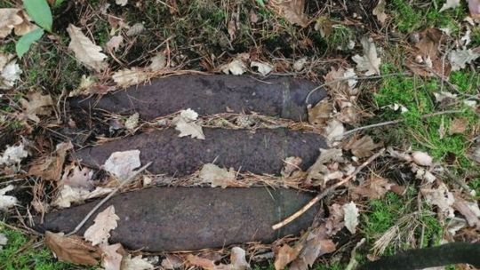 Zamiast grzybów znalazł niewybuchy