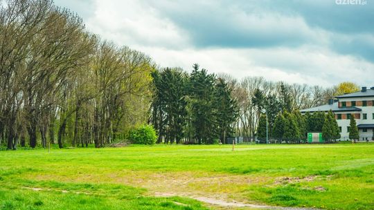 Zamiast wczesnej wiosny będzie wczesne lato