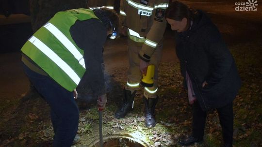 Zanieczyszczony Potok Północny. Trwa postępowanie