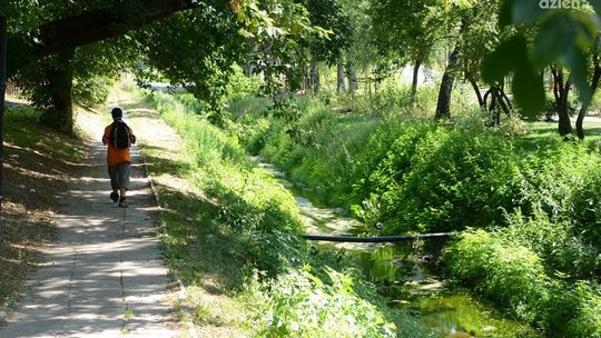 Zaniedbany Potok Północny. Co dalej?