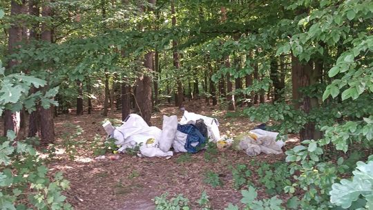 Zapomniał odrobić lekcje o ekologii. Leśny "brudas" musiał posprzątać