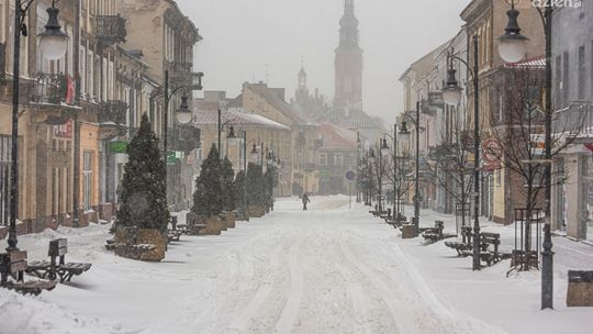 Zaprocentuj dla Radomia