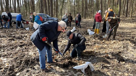 Zasadzili kilka tysięcy drzew