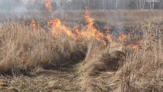 Zatrzymali 19-latka podejrzanego o podpalenia