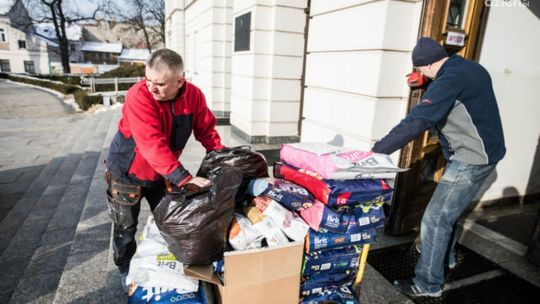 Zbiórka na rzecz radomskiego schroniska przedłużona