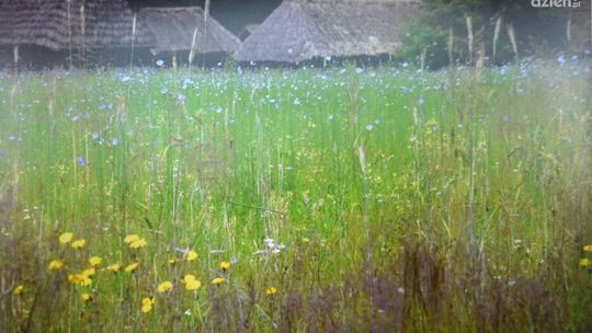 Zbiorowa wystawa fotografii członków RTF