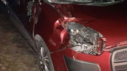 Zderzenie jelenia z autem