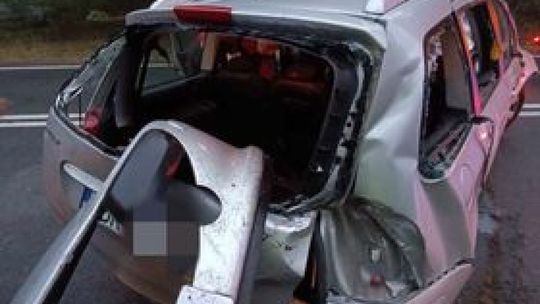 Zderzenie z sarną w Wyśmierzycach 