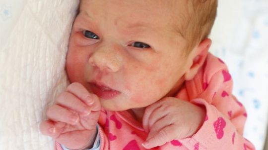 Zdjęcia dzieci z 11 sierpnia