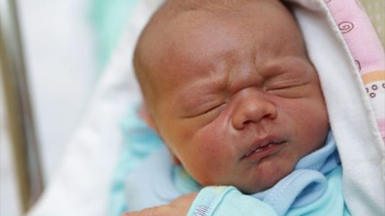 Zdjęcia dzieci z 12 listopada