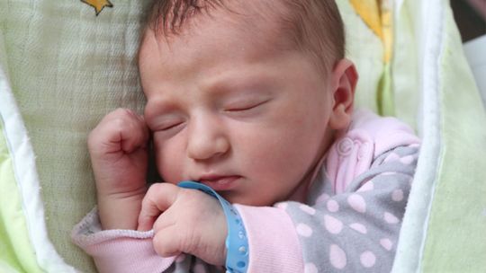 Zdjęcia dzieci z 12 września