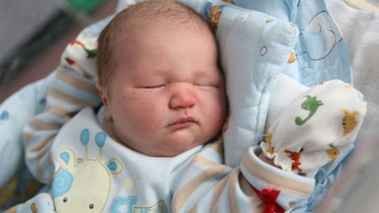 Zdjęcia dzieci z 13 listopada