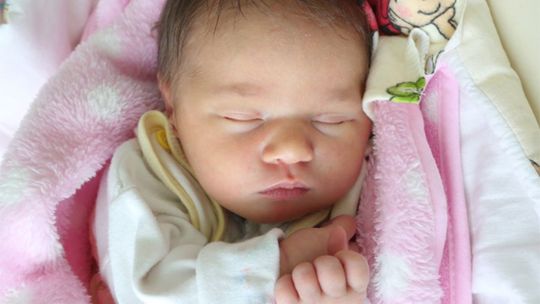 Zdjęcia dzieci z 16 sierpnia