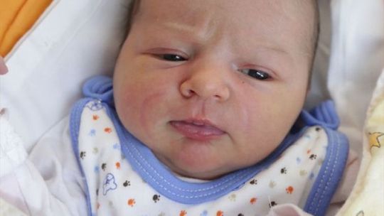 Zdjęcia dzieci z 16 stycznia