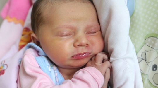 Zdjęcia dzieci z 17 października