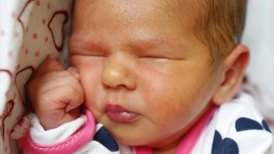 Zdjęcia dzieci z 20 lutego