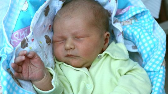 Zdjęcia dzieci z 20 lutego