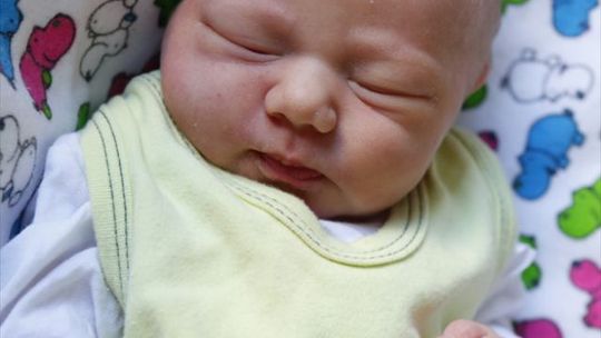 Zdjęcia dzieci z 22 kwietnia