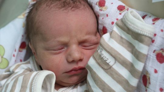 Zdjęcia dzieci z 22 kwietnia