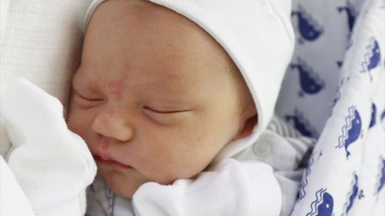 Zdjęcia dzieci z 23 lutego