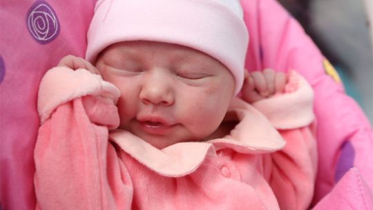 Zdjęcia dzieci z 23 lutego